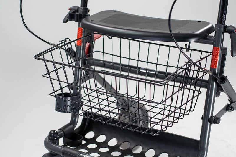 Mindful Mobility